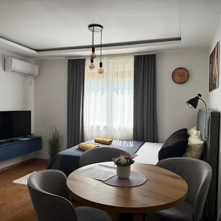 Dunja 公寓 Vrnjačka Banja