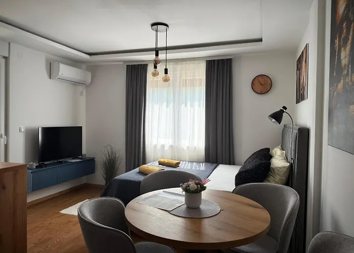 Dunja Appartement Vrnjačka Banja